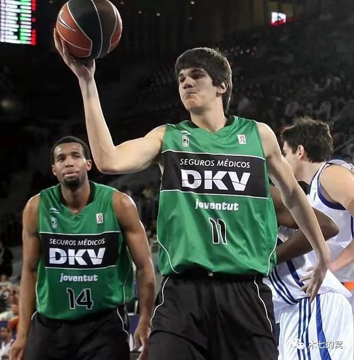 在辛巴与叶 在辛巴与叶